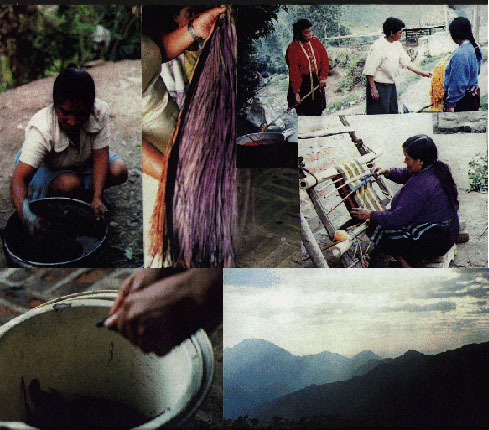 Dyeing workshop